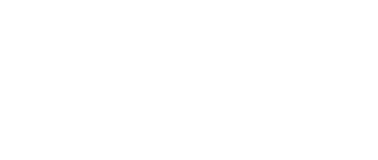 ace college