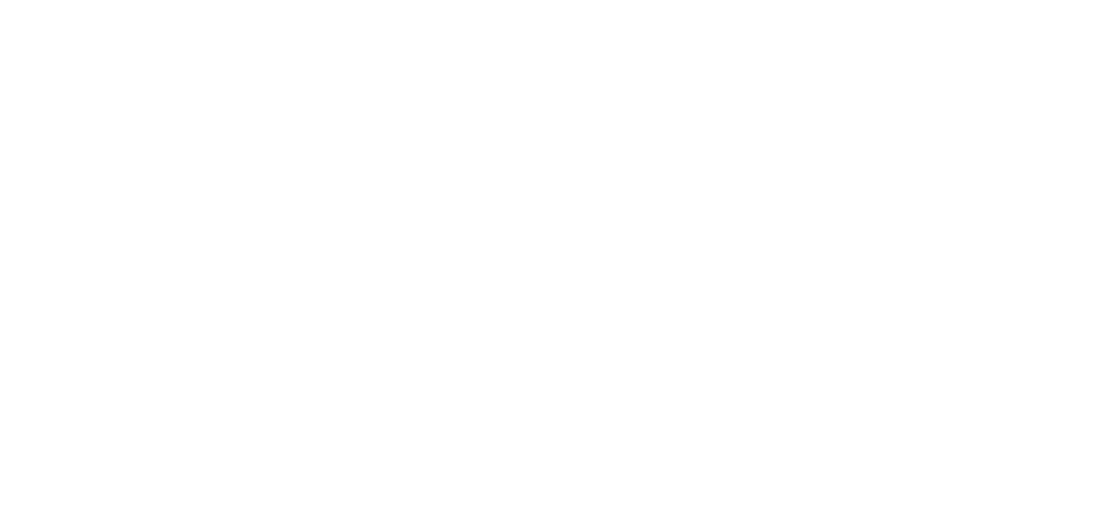 bna logo