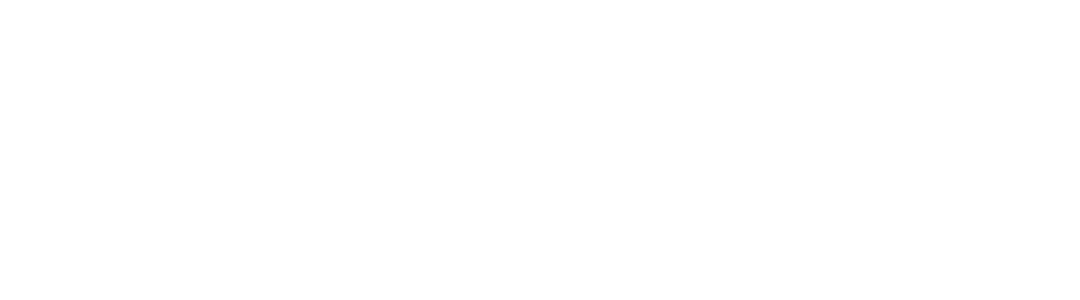 budgetwise accounting
