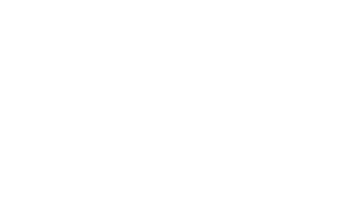 lions international
