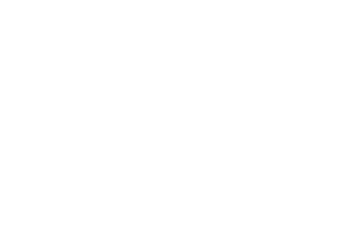 nepo logo